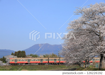 Spring scenery on the Sangi Railway Sangi Line Spring scenery on the Sangi Railway Sangi Line 126226192
