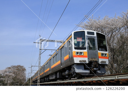 Spring scenery on the Sangi Railway Sangi Line 126226200
