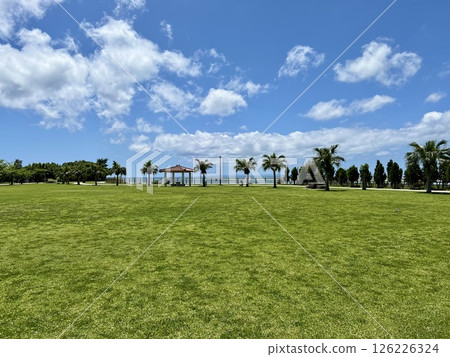 寬闊的草坪和蔚藍的天空,宛如熱帶度假勝地的風景(沖繩) 寬闊的草坪和蔚藍的天空,宛如熱帶度假勝地的風景(沖繩) 126226324
