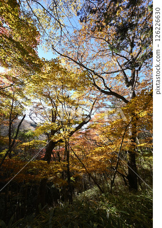 Climbing Mount Daibosatsu, Yamanashi Prefecture Climbing Mount Daibosatsu, Yamanashi Prefecture 126226630