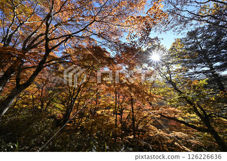 Climbing Mount Daibosatsu, Yamanashi Prefecture 126226636