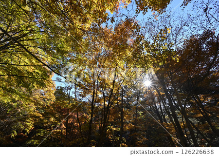 Climbing Mount Daibosatsu, Yamanashi Prefecture 126226638