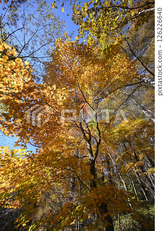 Climbing Mount Daibosatsu, Yamanashi Prefecture Climbing Mount Daibosatsu, Yamanashi Prefecture 126226640