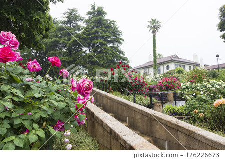 Spring at Yamate Western-style Building French Garden and Harbor View Park 126226673