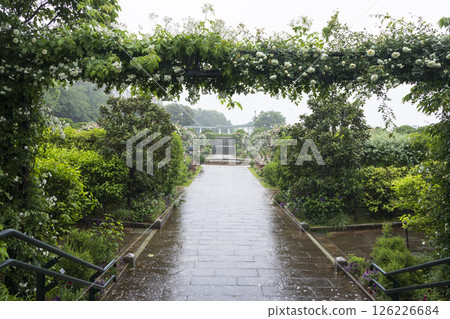 山手西洋館的春天 法國庭園與港灣公園 山手西洋館的春天 法國庭園與港灣公園 126226684