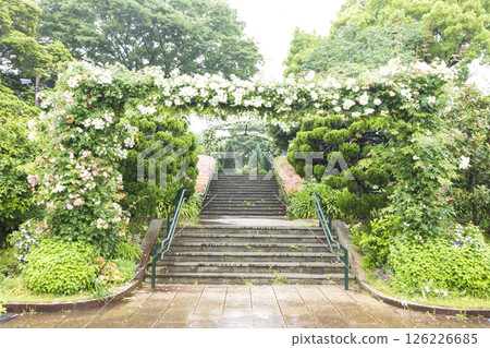 Spring at Yamate Western-style Building French Garden and Harbor View Park Spring at Yamate Western-style Building French Garden and Harbor View Park 126226685