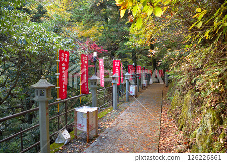 關東地區：前往大山賞紅葉；連接纜車站與寺廟的長廊風景；神奈川縣伊勢原市 (2) 126226861
