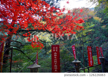 關東地區:前往大山賞紅葉;連接纜車站與寺廟的長廊風景;神奈川縣伊勢原市 (4) 關東地區:前往大山賞紅葉;連接纜車站與寺廟的長廊風景;神奈川縣伊勢原市 (4) 126226863