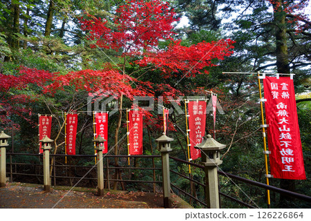 關東地區：前往大山賞紅葉；連接纜車站與寺廟的長廊風景；神奈川縣伊勢原市 (5) 126226864