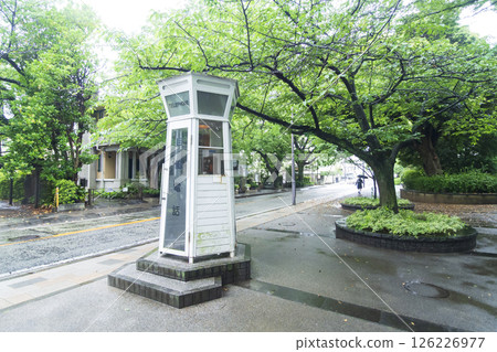 山手西式館234號的春天 山手西式館234號的春天 126226977