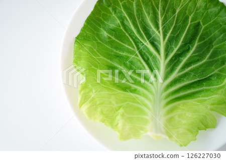 柔軟濕潤-高麗菜的彩色外葉(煮熟後) 柔軟濕潤-高麗菜的彩色外葉(煮熟後) 126227030