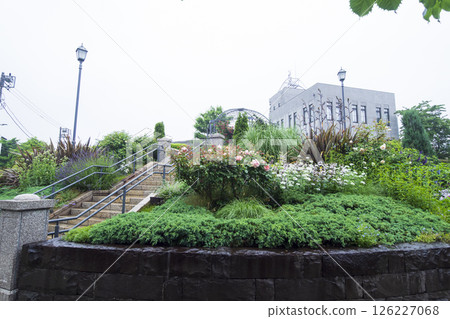 Spring at Yokohama Local Meteorological Observatory 126227068