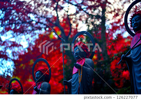 Kanto - Pilgrimage to Mt. Oyama in autumn leaves - In front of Mt. Oyama Temple, a Jizo statue watches over people with beautiful autumn leaves behind - Isehara City, Kanagawa Prefecture (4) 126227077
