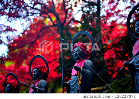 關東 - 秋葉中的大山巡禮 - 大山寺前的地藏菩薩像在美麗的秋葉映襯下守護著人們 - 神奈川縣伊勢原市（5） 126227078