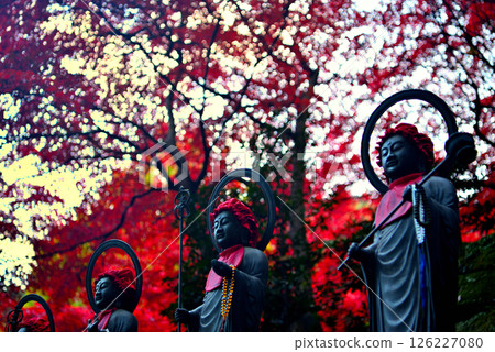 關東 - 秋葉中的大山巡禮 - 大山寺前的地藏菩薩像在美麗的秋葉映襯下守護著人們 - 神奈川縣伊勢原市（7） 126227080