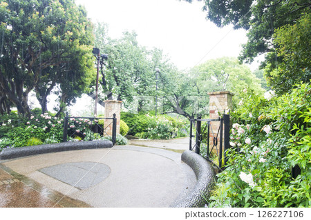 Spring at Yamate Western-style Building French Garden and Harbor View Park Spring at Yamate Western-style Building French Garden and Harbor View Park 126227106