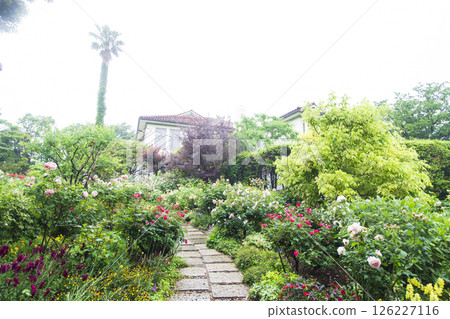 山手西洋館的春天 法國庭園與港灣公園 山手西洋館的春天 法國庭園與港灣公園 126227116