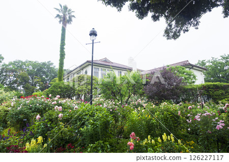 山手西洋館的春天 法國庭園與港灣公園 126227117