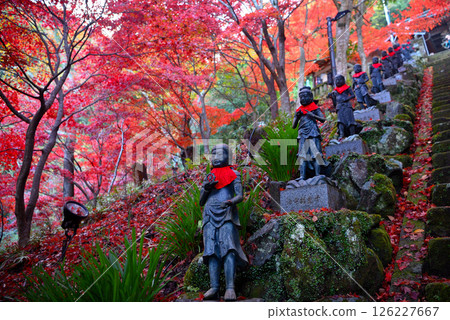 Kanto - Mt. Oyama pilgrimage to see autumn leaves - Famous spot at Mt. Oyama Temple, a staircase leading to a tunnel of beautiful autumn leaves and the 36 children standing on either side (1) Kanto - Mt. Oyama pilgrimage to see autumn leaves - Famous spot at Mt. Oyama Temple, a staircase leading to a tunnel of beautiful autumn leaves and the 36 children standing on either side (1) 126227667
