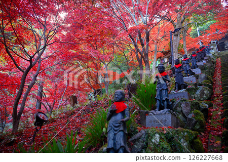 Kanto - Mt. Oyama pilgrimage to see the autumn leaves - Famous spot at Mt. Oyama-ji temple, a staircase leading to a tunnel of beautiful autumn leaves and the 36 children standing on either side (2) Kanto - Mt. Oyama pilgrimage to see the autumn leaves - Famous spot at Mt. Oyama-ji temple, a staircase leading to a tunnel of beautiful autumn leaves and the 36 children standing on either side (2) 126227668