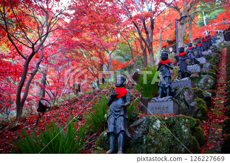 關東 - 大山紅葉巡禮 - 大山寺的名勝,通往美麗紅葉隧道的階梯,以及站在兩邊的36個孩子(3) 關東 - 大山紅葉巡禮 - 大山寺的名勝,通往美麗紅葉隧道的階梯,以及站在兩邊的36個孩子(3) 126227669
