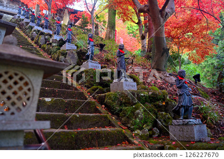 Kanto - Mt. Oyama pilgrimage to see the autumn leaves - Famous spot at Mt. Oyama Temple, a staircase leading to a tunnel of beautiful autumn leaves and the 36 children standing on either side (4) Kanto - Mt. Oyama pilgrimage to see the autumn leaves - Famous spot at Mt. Oyama Temple, a staircase leading to a tunnel of beautiful autumn leaves and the 36 children standing on either side (4) 126227670