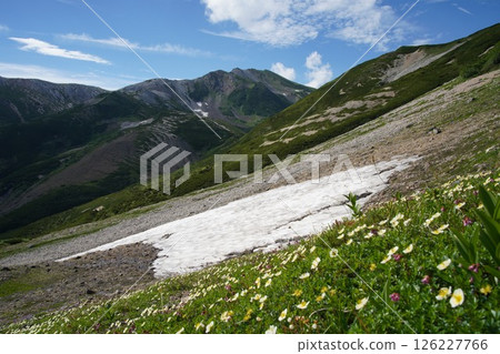 北阿爾卑斯山在夏天 126227766