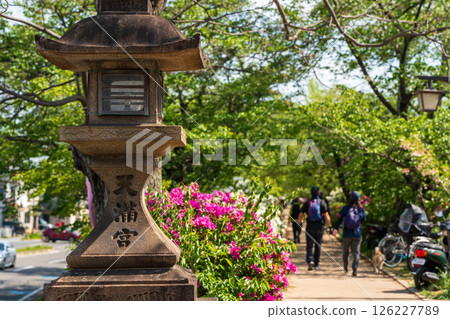 Take a stroll through the grounds of Nagaoka Tenmangu Shrine, where colorful azaleas bloom in full bloom. 126227789