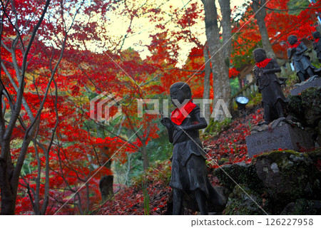Kanto - Pilgrimage to Mt. Oyama in autumn leaves - Famous spot of Mt. Oyama Temple, 36 children standing on the steps of a tunnel of autumn leaves - Isehara City, Kanagawa Prefecture (1) 126227958