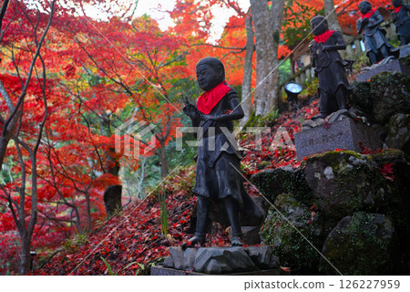 關東 - 大山賞楓之旅 - 神奈川縣伊勢原市大山寺的名勝,被紅葉點亮的階梯,以及站在階梯兩側的36名兒童(1) 關東 - 大山賞楓之旅 - 神奈川縣伊勢原市大山寺的名勝,被紅葉點亮的階梯,以及站在階梯兩側的36名兒童(1) 126227959
