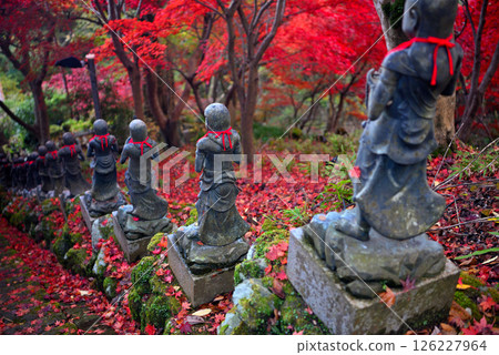 關東 - 紅葉巡禮大山 - 大山寺的名勝，36個孩子站在紅葉隧道的台階上 - 神奈川縣伊勢原市（3） 126227964