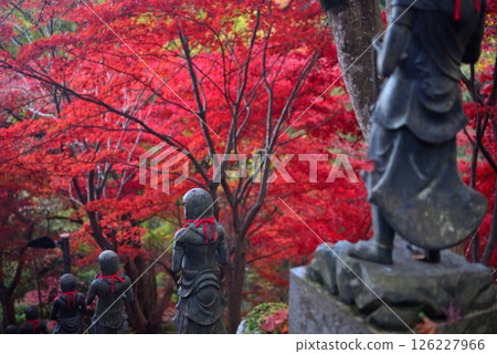 Kanto - Pilgrimage to Mt. Oyama to see autumn leaves - Famous spot of Mt. Oyama Temple, image of stairs around which autumn leaves shine - Isehara City, Kanagawa Prefecture (2) 126227966
