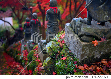 關東 - 紅葉中的大山巡禮 - 大山寺的名勝,紅葉映照下的階梯上的36個小孩的畫像 - 神奈川縣伊勢原市(5) 關東 - 紅葉中的大山巡禮 - 大山寺的名勝,紅葉映照下的階梯上的36個小孩的畫像 - 神奈川縣伊勢原市(5) 126227971