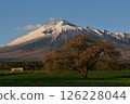 Spring snow on Mt. Iwate and a single cherry tree in Kamibo Makino 126228044