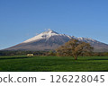 Spring snow on Mt. Iwate and a single cherry tree in Kamibo Makino 126228045