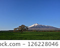 Spring snow on Mt. Iwate and a single cherry tree in Kamibo Makino 126228046