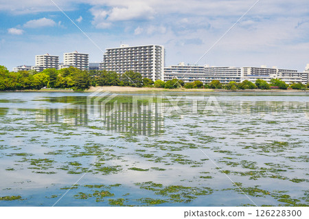 Yatsu tidal flat (Narashino City, Chiba Prefecture) Yatsu tidal flat (Narashino City, Chiba Prefecture) 126228300