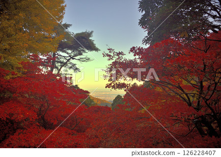 Kanto - Pilgrimage to Mt. Oyama in autumn leaves - Sagami Bay and Enoshima seen through the autumn leaves from Mt. Oyama Temple - Isehara City, Kanagawa Prefecture (2) 126228407