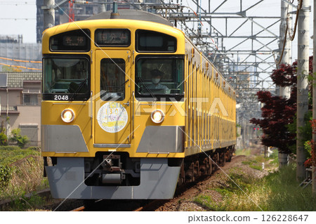 [SK] 西武國分寺線2000系列列車（小平市：川越鐵道開通130週年紀念HM） 126228647