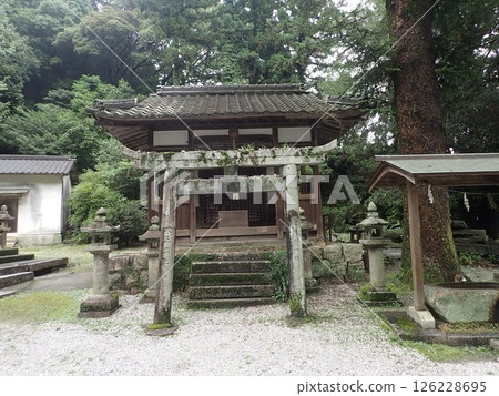 Shirayamahime Shrine, located in Iwakuni City, Yamaguchi Prefecture, is said to have been built during the reign of Emperor Seiwa. 126228695
