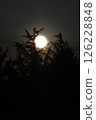 Flower moon 126228848