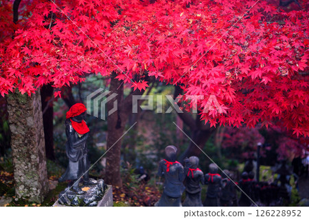 關東 - 大山紅葉巡禮 - 大山寺的名勝、三十六堂階和紅葉隧道的影像 - 神奈川縣伊勢原市 (5) 126228952