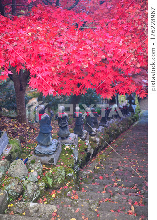 Kanto - Pilgrimage to Mt. Oyama to see autumn leaves - Famous spot at Mt. Oyama Temple, 36 children standing on both sides of the stairs and red maples - Isehara City, Kanagawa Prefecture (4) 126228967