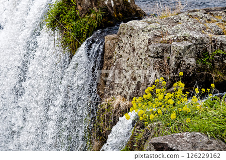 Spring waterfall of spring 126229162