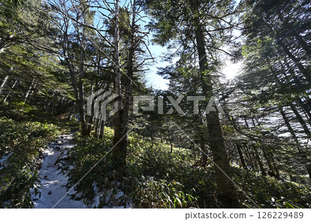 長野縣群馬縣淺間山黑房山冬季登山 長野縣群馬縣淺間山黑房山冬季登山 126229489