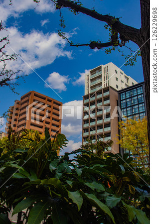 [Kyoto scenery] Sky and buildings on Horikawa Street 126229698