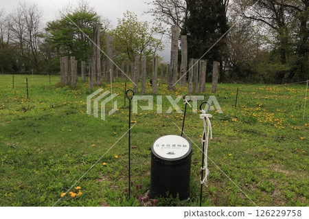 Ooyu ring stone Ooyu ring stone 126229758