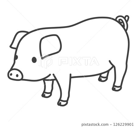 Pig  126229901