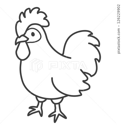 Chicken Chicken 126229902