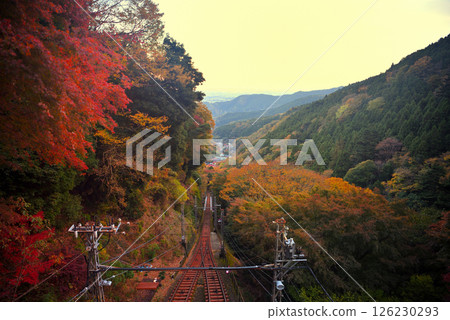 Image of a cable car moving through autumn leaves, seen from Daisenji Station, Kanto, Oyama Pilgrimage, Isehara City, Kanagawa Prefecture (1) Image of a cable car moving through autumn leaves, seen from Daisenji Station, Kanto, Oyama Pilgrimage, Isehara City, Kanagawa Prefecture (1) 126230293